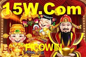 Premium Interface PICOWIN
