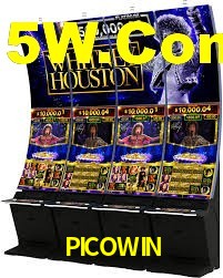 Programa VIP PICOWIN