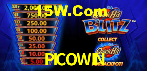 PICOWIN,picowin.com